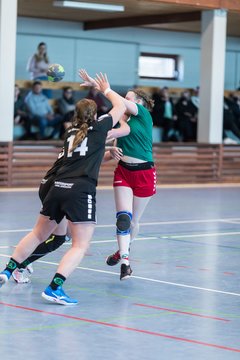 Bild 245 - F HSG Kre/Mue - HFF Munkbrarup : Ergebnis: 49:20